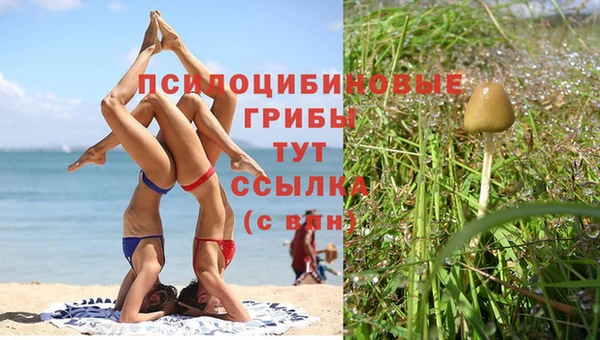 ГАЛЛЮЦИНОГЕННЫЕ ГРИБЫ Новокубанск