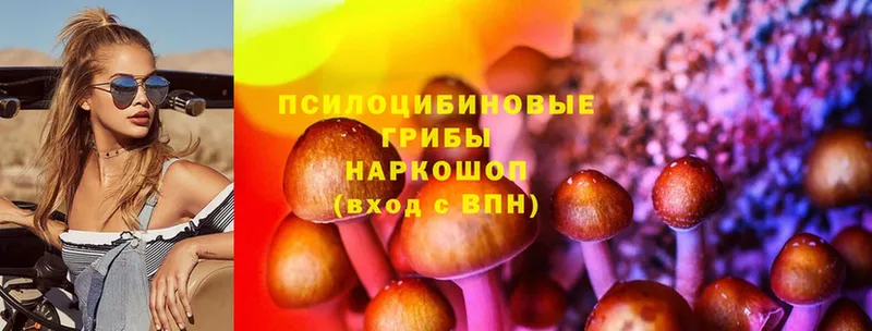 Галлюциногенные грибы Psilocybe  мега ссылка  Кропоткин 