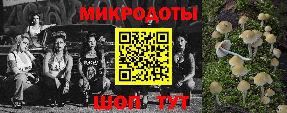 Кропоткин  Псилоцибиновые грибы Magic Shrooms  Вход с VPN 